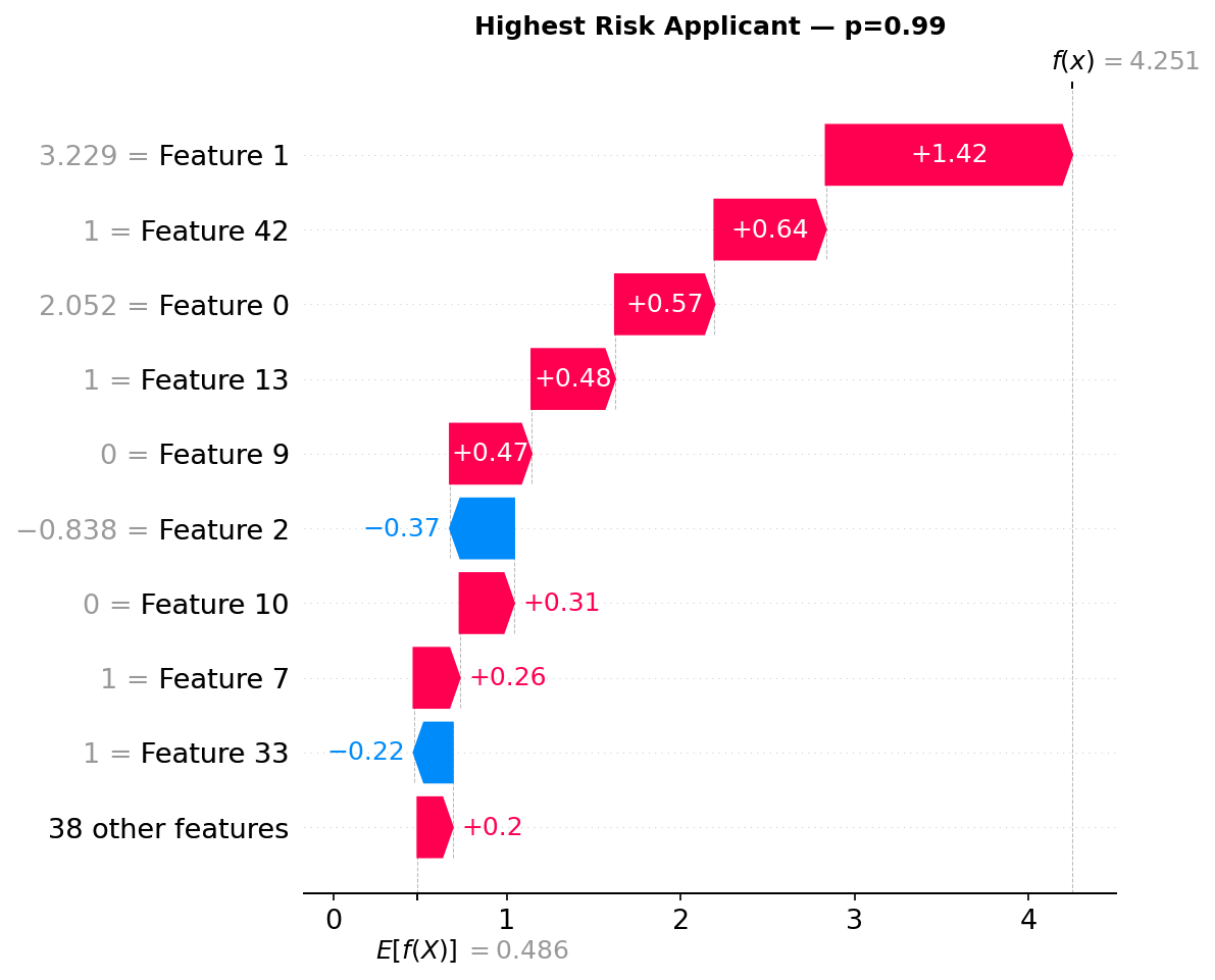 Credit Risk Scoring API screenshot 12