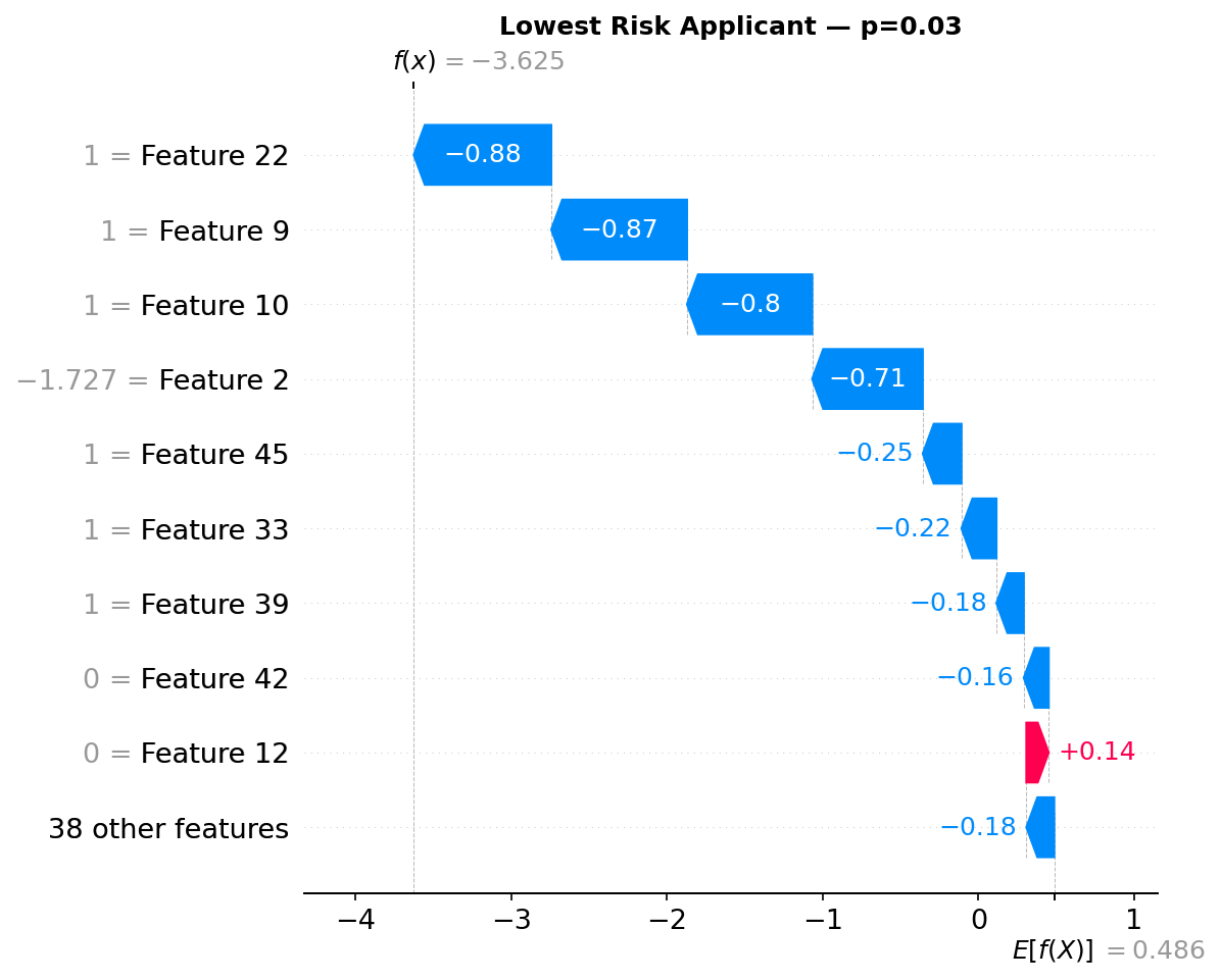 Credit Risk Scoring API screenshot 13